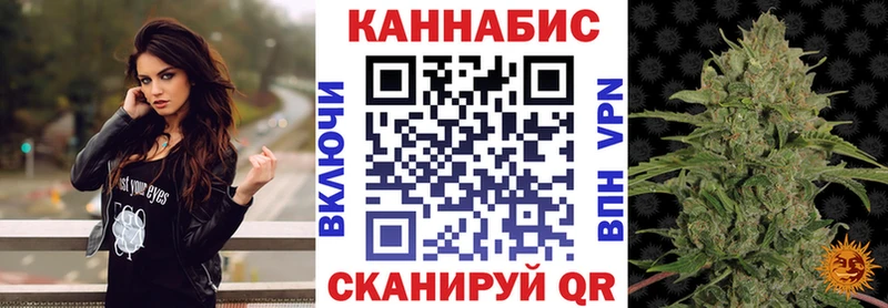 где продают   Нижняя Тура  Конопля сатива 